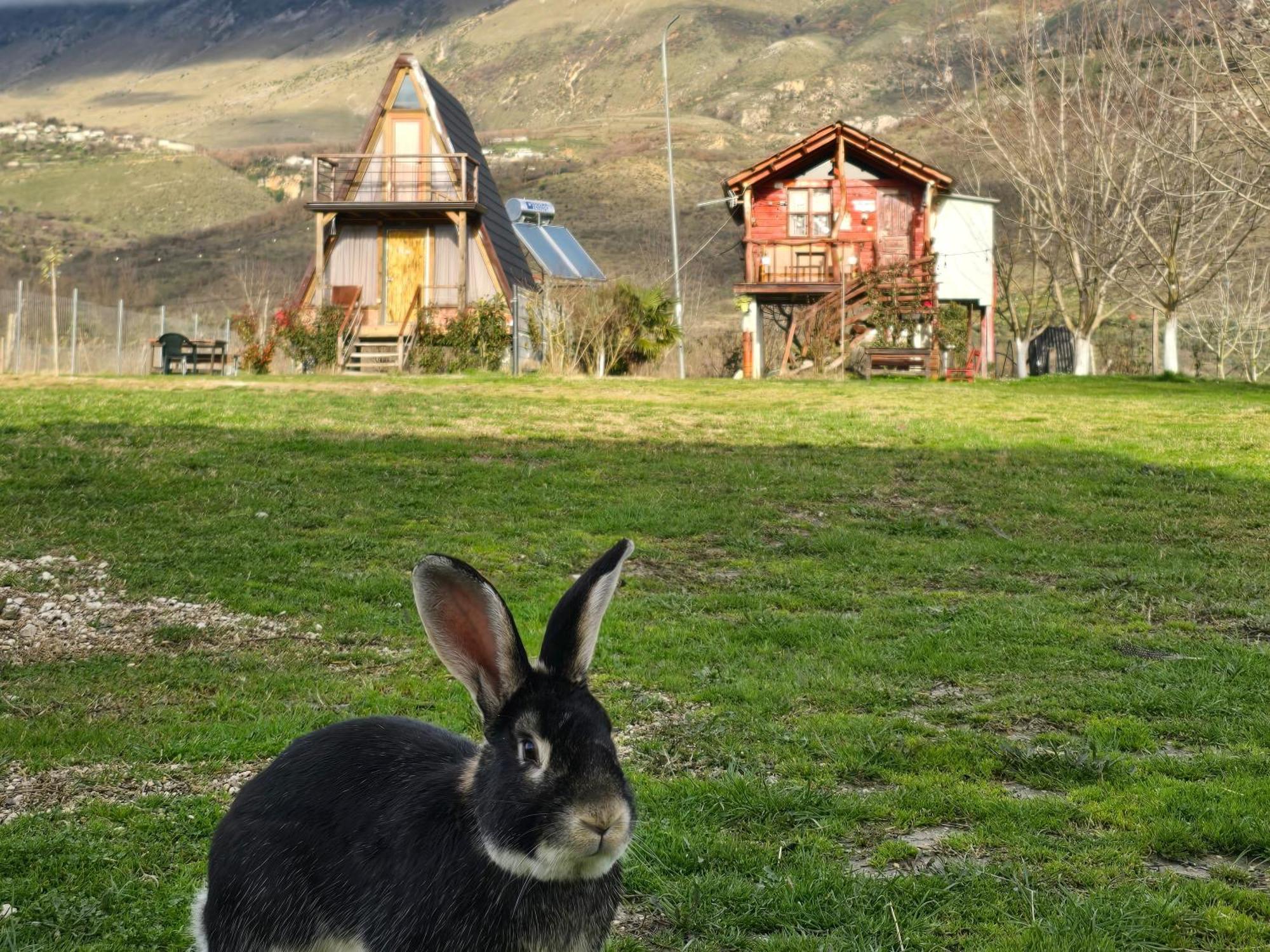 Life On The Farm Hotel Nepravishte Bagian luar foto